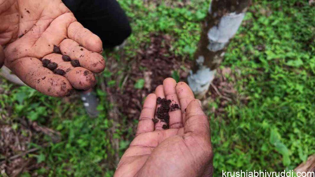 The wastes are decomposed like this. by Gangehulu, it eat 4-5 times much than earthworms