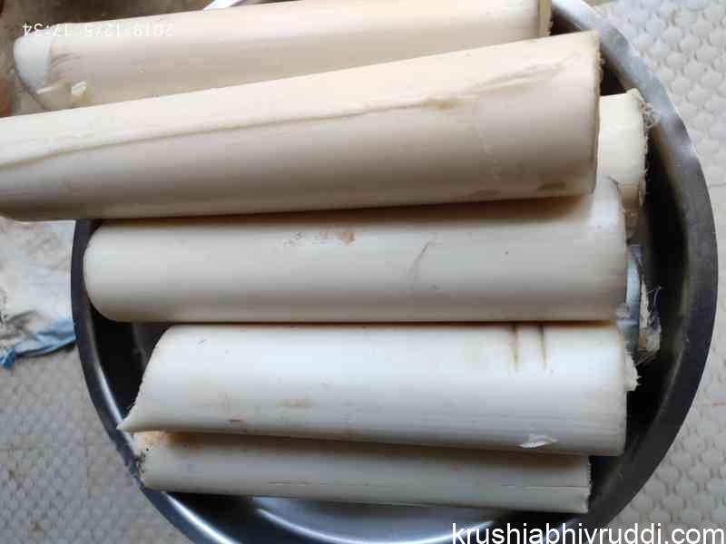 ಬಾಳೆಗಿಡದ ಕಾಂಡದ ಒಳದಂಟು