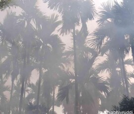 ಅಡಿಕೆ ತೋಟದಲ್ಲಿ ಕೀಟ ನಿಯಂತ್ರಣಕ್ಕೆ ಹೊಗೆ ಉಪಚಾರ