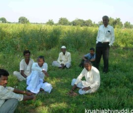 picture is only identical The Silent Enemies in Indian agriculture