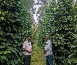 Field visit with Joseph Chakho